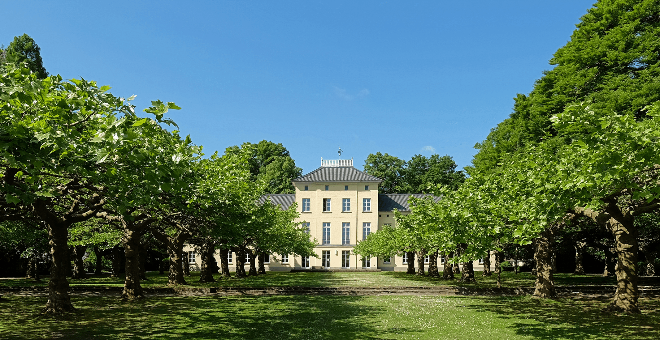 Webdesign in Krefeld